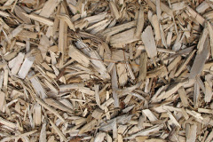 biomass boilers Kelstedge